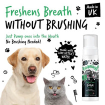 Bugalugs 200Ml Dental Care Foam For Dogs And Cats