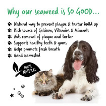 Bugalugs 200G Plaque Remover For Dogs And Cats
