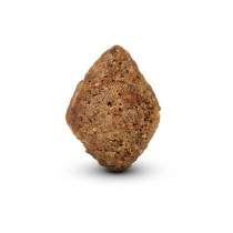 Arden Grange 2Kg Adult Fresh Salmon And Rice Dry Dog Food