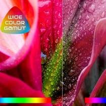 TCL 98 inch Android Smart TV - 4K, 98P735, 1 Years Warranty