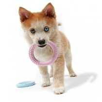 Ebi Petit Teething Lola Dental Chew Toy For Dogs, Yellow, 95 X 95 X 15Cm