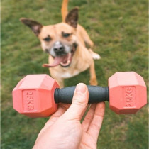 Ebi Bite Me 'For The Gainz' Dumbbell Dog Toy, Purple, 18 X 6 X 6Cm