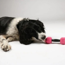 Ebi Bite Me 'For The Gainz' Dumbbell Dog Toy, Purple, 14 X 4 X 4Cm