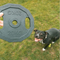 Ebi Bite Me 'For The Gainz' Barbell Dog Toy, Black, 22 X 22 X 1.7Cm