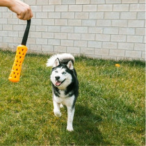 Ebi Bite Me 'Crack Me Up' Stick Sensory Dog Toy, Orange, 42 X 6 X 6Cm