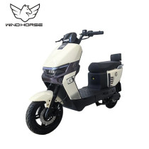 Wind Horse M5 Electric Bike, M5, 1 Year Warranty
