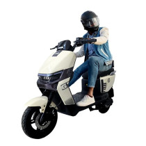 Wind Horse M5 Electric Bike, M5, 1 Year Warranty