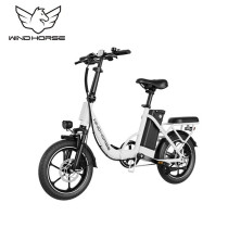 Wind Horse W2 B Electric Bike, W2 B, 1 Year Warranty