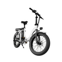 Wind Horse W2 B Electric Bike, W2 B, 1 Year Warranty