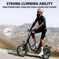 Wind Horse W2 B Electric Bike, W2 B, 1 Year Warranty