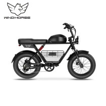 Wind Horse D5 Electric Bike, D5, 1 Year Warranty
