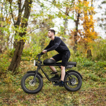 Wind Horse D5 Electric Bike, D5, 1 Year Warranty