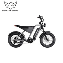 Wind Horse D3 Electric Bike, D3, 1 Year Warranty