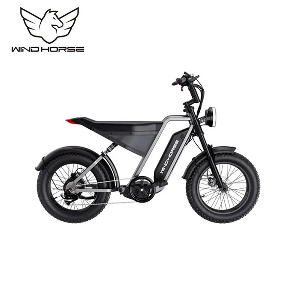 Wind Horse D3 Electric Bike, D3, 1 Year Warranty