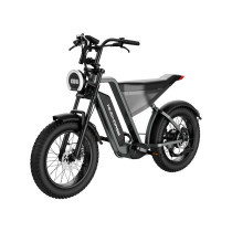 Wind Horse D3 Electric Bike, D3, 1 Year Warranty