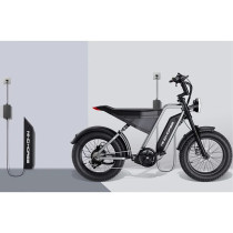 Wind Horse D3 Electric Bike, D3, 1 Year Warranty
