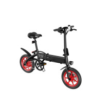 Wind Horse Folding Electric Bike, C19, 1 Year Warranty