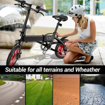 Wind Horse Folding Electric Bike, C19, 1 Year Warranty