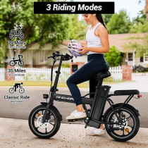 Wind Horse W2 A Electric Bike, W2 A, 1 Year Warranty