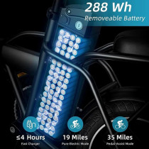 Wind Horse W2 A Electric Bike, W2 A, 1 Year Warranty