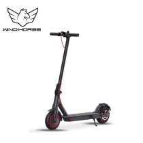 Wind Horse T1 Electric Bike, T1, 1 Year Warranty