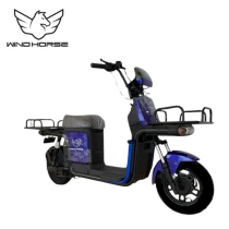 Wind Horse M4 Electric Bike, M4, 1 Year Warranty