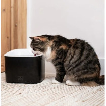 Ebi Manoa Drinking Fountain For Dogs, 20 X 20 X 18Cm, White