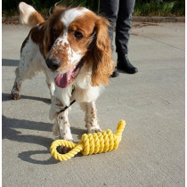 Ebi 52Cm Bite Me 'Tug Life' 2 Loops Playing Rope, Yellow
