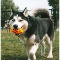 Ebi Bite Me 'Crack Me Up' Rugby Sensory Dog Toy, Orange, 14 X 8 X 8Cm