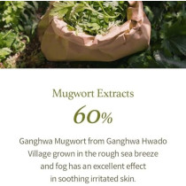 I'M From Mugwort Gel Cleanser 150 Ml, Mugwort Extract 60Percentage, Korean Cleanser, Natural, Herbal, Calming, Soothing, Micro Cleansing