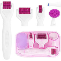 Lophe 6 In 1 Derma Roller Kit, Professional Microneedling Titanium Roller With Disassemble Working Heads