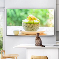 TCL 98 inch Android Smart TV - 4K, 98P745, 1 Years Warranty