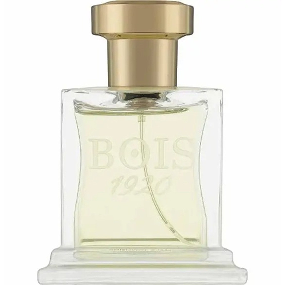 Bois 1920 Elite I Unisex Parfum 100Ml