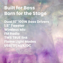 Star Track HALO WAVE G1 - 100W TWS Bluetooth Speaker System Dual 10 Inch Bass Drivers, 1.5 Inch Tweeter, Guitar Input, Wireless Mic, FM, Flame Lights, USB/TF/AUX/DC, Mic Controls ST-TS100W-AD