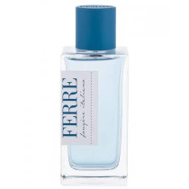 Gianfranco Ferre Fougere Italiano Men Eau De Toilette 100Ml