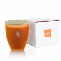 Giardino Benessere Amber 255G Scented Candle In Glass