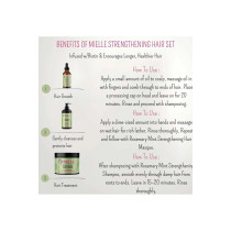 Mielle Organics Rosemary Mint Strengthening Set 5, Rosemary Hair Oil, Shampoo, Hair Mask, Derma Ruller And Scrubber