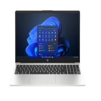 HP 250 G10 Laptop With 15.6-Inch Display, Core i5-1334U Processor/32GB RAM/1TB SSD/Intel Iris Xe Graphics/Windows 11 Pro English Turbo Silver