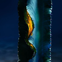 Dior Sauvage Serum Face Serum