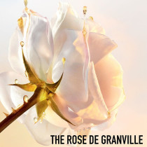 Dior Prestige La Mousse Micellaire Face Cleanser Face Wash & Cleanser