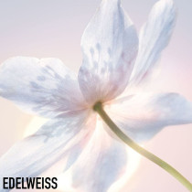 Dior Diorsnow Essence Of Light Purifying Brightening Foam 100G Face Wash & Cleanser