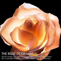 Dior Prestige Le Concentre Yeux Anti-Aging Eye Cream