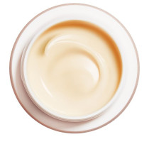 Shiseido Wrinkle Smoothing Cream Face Moisturizers