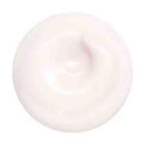 Shiseido Essential Energy Hydrating Day Cream 50Ml Face Moisturizers