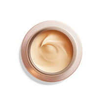 Shiseido Benefiance Overnight Wrinkle Resisting Night Cream