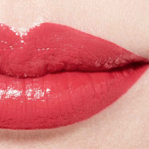 Chanel Rouge Coco Bloom Hydrating And Plumping Lipstick, 123 Zenith