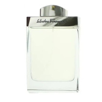 Salvatore Ferragamo Pour Homme Eau De Toilette, 100 Ml