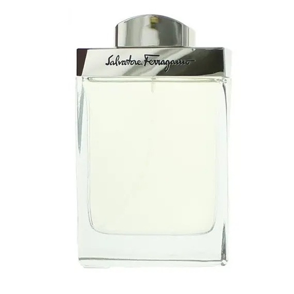 Salvatore Ferragamo Pour Homme Eau De Toilette, 100 Ml