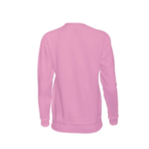 BASIC Sofia Clothing Plain Casual Sweatshirt for Unisex Pink