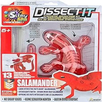 Dissect It Synthetic Dissection Kit Salamander, 38071